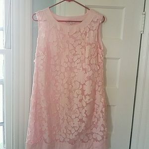 Lily lace sheath dress. Size M. Never worn